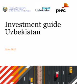 investment